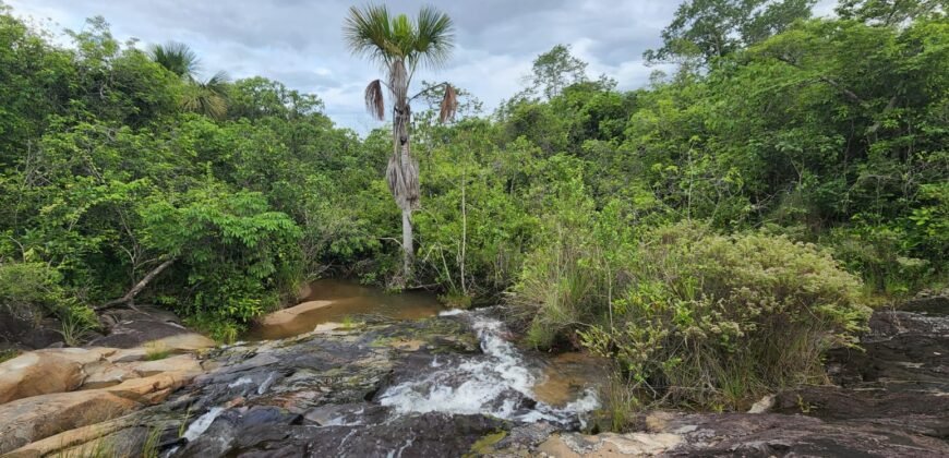 Fazenda 76 ha – Cachoeira – 12km Teresina de Goiás – Chapada dos Veadeiros