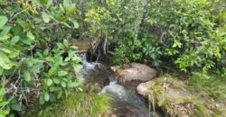 Fazenda 76 ha – Cachoeira – 12km Teresina de Goiás – Chapada dos Veadeiros