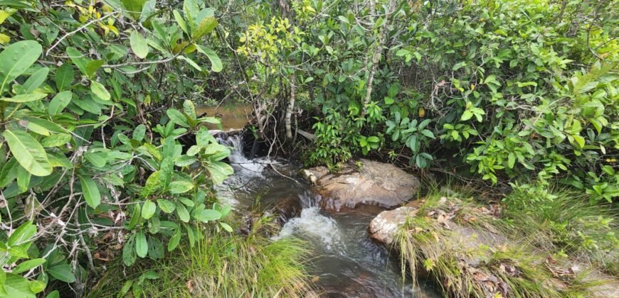 Fazenda 76 ha – Cachoeira – 12km Teresina de Goiás – Chapada dos Veadeiros