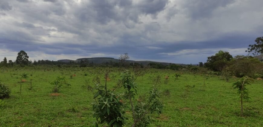 Maravilhosa Chácara 20ha – Recifra – Alto Paraíso de Goiás