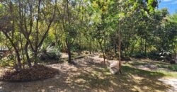 Oportunidade Exclusiva! Pousada à Venda em Cavalcante – Lote 2.000 m2 – Chapada dos Veadeiros