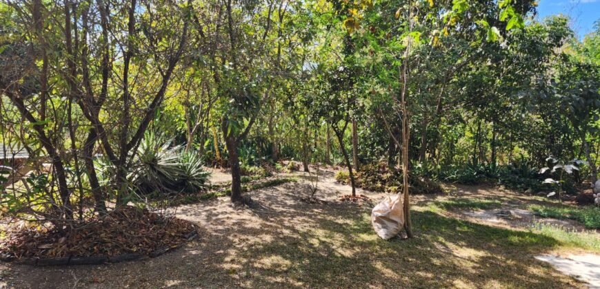 Oportunidade Exclusiva! Pousada à Venda em Cavalcante – Lote 2.000 m2 – Chapada dos Veadeiros