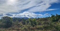 Chácara 5,30ha – Rio – Morro da Baleia – 13 km de Alto Paraíso de Goiás sentido São Jorge