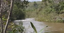 Chácara 4ha – Rio dos Couros – Lofth Ecológico Arco Iris- KM 12 – Alto Paraíso e São jorge