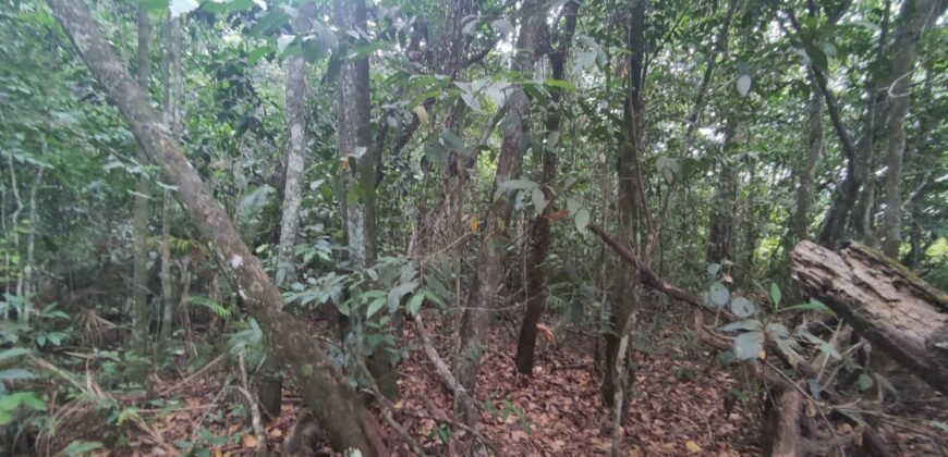 Maravilhosa Chácara 20ha – Recifra – Alto Paraíso de Goiás