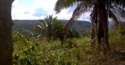 Chácara 14,6ha- Linda Vista – Poço artesiano – na Fazenda Santa Rita – 14km de Alto Paraíso de Goiás