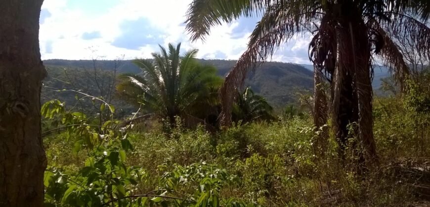 Chácara 14,6ha- Linda Vista – Poço artesiano – na Fazenda Santa Rita – 14km de Alto Paraíso de Goiás