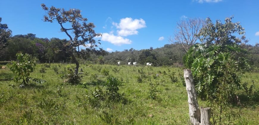 Chácara 2.7 Alq. – Povoado Bandeira – Rio – Nascente – 24km de Alto Paraíso de Goiás