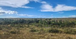 Chácara 5,30ha – Rio – Morro da Baleia – 13 km de Alto Paraíso de Goiás sentido São Jorge