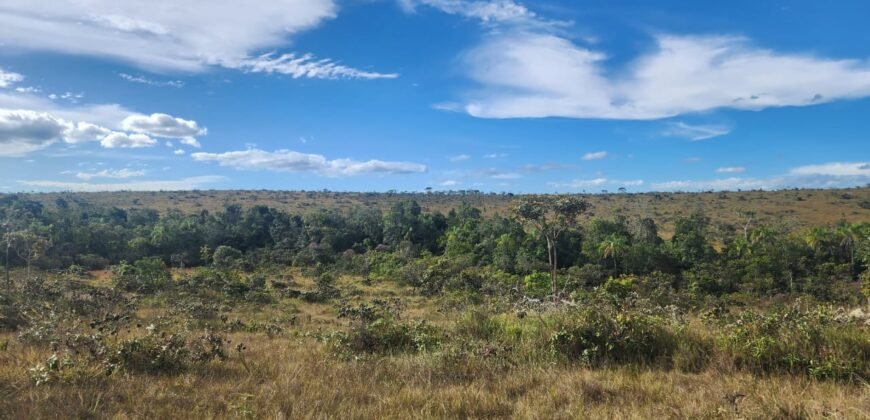 Chácara 5,30ha – Rio – Morro da Baleia – 13 km de Alto Paraíso de Goiás sentido São Jorge