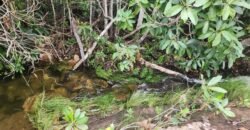 Chácara – Porteira Fechada – Rio – 5.7ha -Vale Verde – Alto Paraíso de Goiás