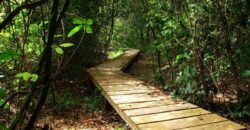 Linda Pousada 3km de Cavalcante – fácil acesso, 9 ha – Próximo das Cachoeiras