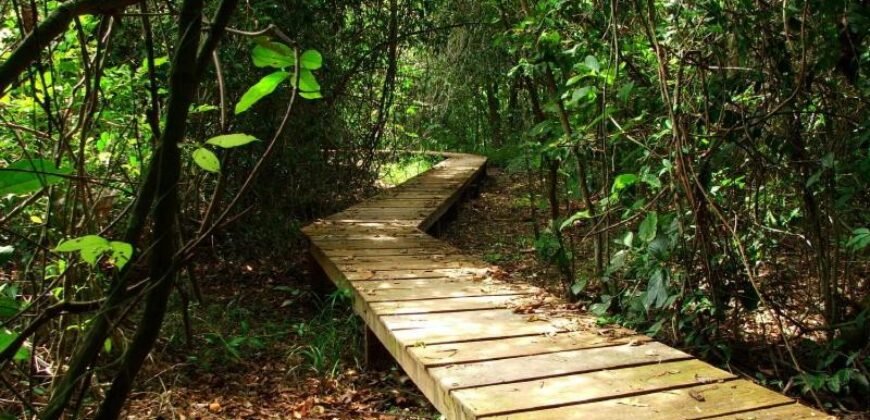 Linda Pousada 3km de Cavalcante – fácil acesso, 9 ha – Próximo das Cachoeiras