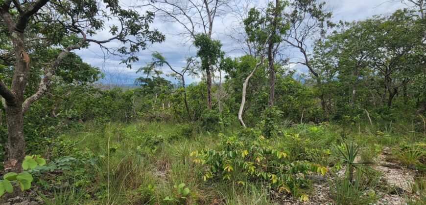 Fazenda 76 ha – Cachoeira – 12km Teresina de Goiás – Chapada dos Veadeiros