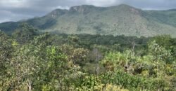 Chácara 4ha – acesso rio – 5 km de Teresinha – 15 km de Cavalcante – Chapada dos Veadeiros
