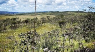 Chácara 7ha – Sentido Cachoeira dos Cristais – Alto Paraíso de Goiás