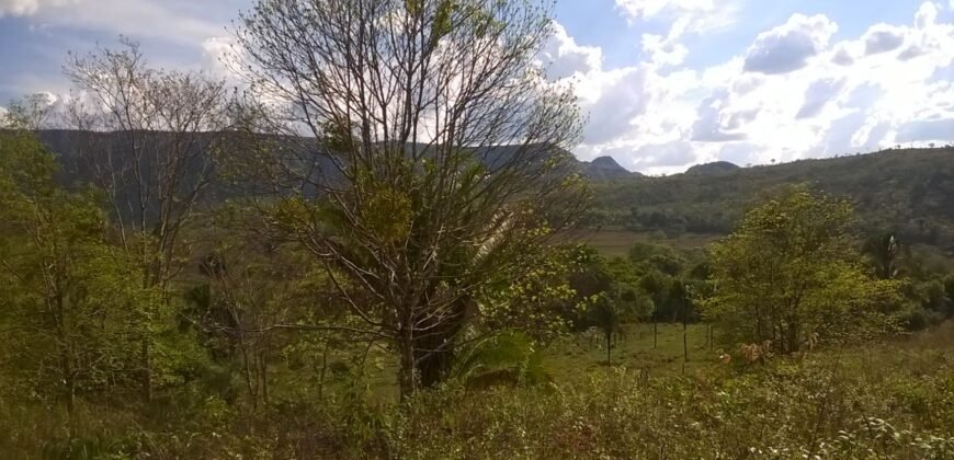 Chácara 14,6ha- Linda Vista – Poço artesiano – na Fazenda Santa Rita – 14km de Alto Paraíso de Goiás