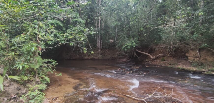 Maravilhosa Chácara 20ha – Recifra – Alto Paraíso de Goiás