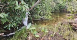 Chácara – Porteira Fechada – Rio – 5.7ha -Vale Verde – Alto Paraíso de Goiás