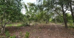 Fazenda 76 ha – Cachoeira – 12km Teresina de Goiás – Chapada dos Veadeiros