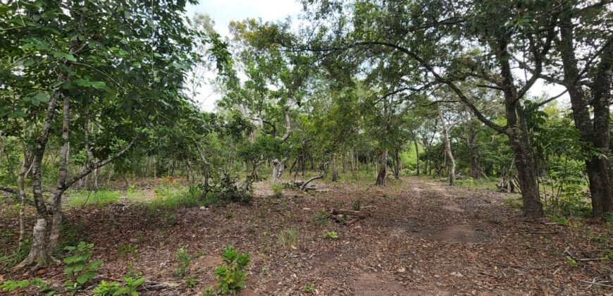Fazenda 76 ha – Cachoeira – 12km Teresina de Goiás – Chapada dos Veadeiros