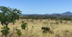 Chácara 5ha – na  Fazenda São Bento – entre Alto Paraíso e São Jorge