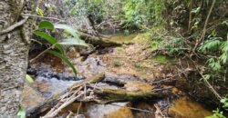 Chácara 5,30ha – Rio – Morro da Baleia – 13 km de Alto Paraíso de Goiás sentido São Jorge