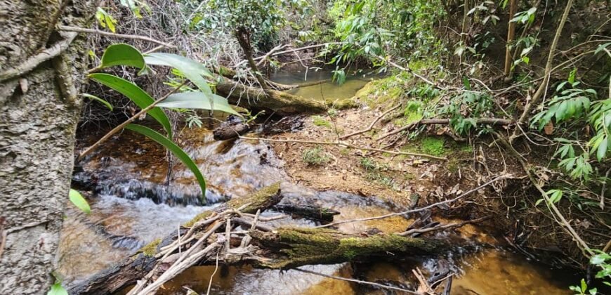 Chácara 5,30ha – Rio – Morro da Baleia – 13 km de Alto Paraíso de Goiás sentido São Jorge