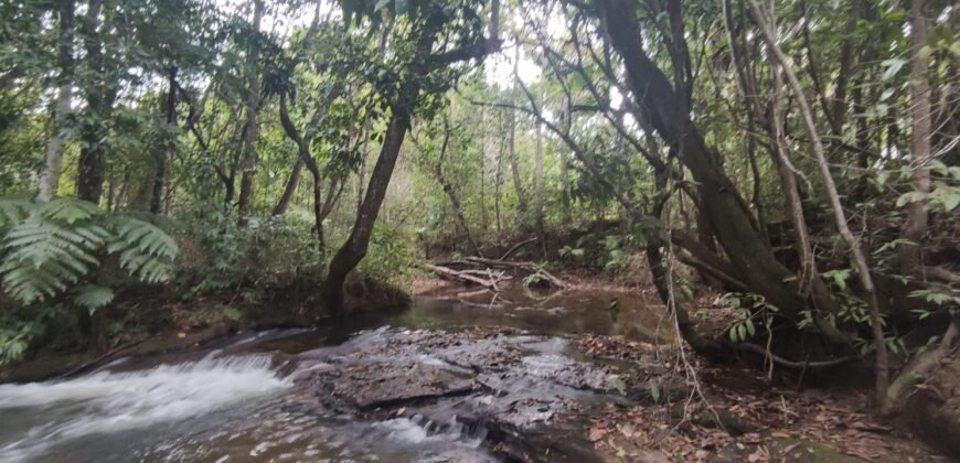 Maravilhosa Chácara 20ha – Recifra – Alto Paraíso de Goiás