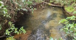 Chácara 5,30ha – Rio – Morro da Baleia – 13 km de Alto Paraíso de Goiás sentido São Jorge