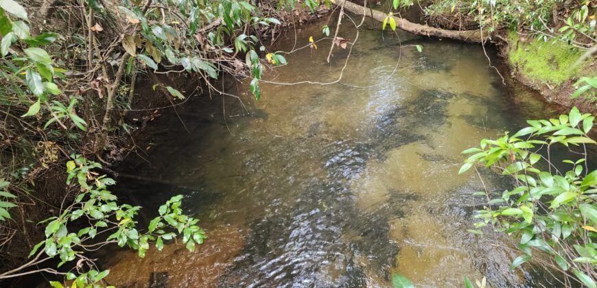 Chácara 5,30ha – Rio – Morro da Baleia – 13 km de Alto Paraíso de Goiás sentido São Jorge
