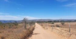 Vende-se Chácara 4ha – Acesso a Cachoeira Água Fria – Vista – 5km de Alto Paraíso de Goiás