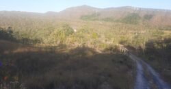 Chácara 4ha Beira Rio dos Couros – Casa Exótica e Ecológica – 12 km Alto Paraíso sentido São Jorge