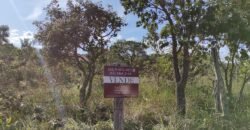 Lote 574m2 – R. dos Vinhaticos – Eldorado – Alto Paraíso de Goiás