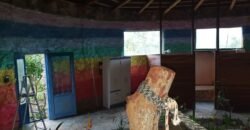 Chácara 4ha – Rio dos Couros – Lofth Ecológico Arco Iris- KM 12 – Alto Paraíso e São jorge