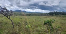 Chácara – Porteira Fechada – Rio – 5.7ha -Vale Verde – Alto Paraíso de Goiás