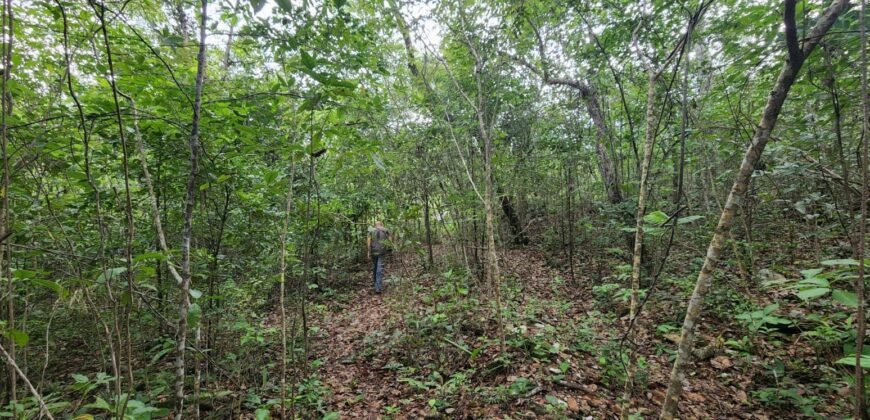 Fazenda 76 ha – Cachoeira – 12km Teresina de Goiás – Chapada dos Veadeiros