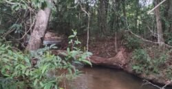 Maravilhosa Chácara 20ha – Recifra – Alto Paraíso de Goiás