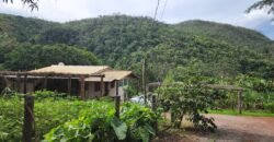 Casa – Rio – Lote 9.000 m2 – Alto Paraíso de Goiás