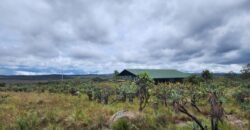Chácara – Porteira Fechada – Rio – 5.7ha -Vale Verde – Alto Paraíso de Goiás
