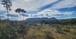 Chácara 5,30ha – Rio – Morro da Baleia – 13 km de Alto Paraíso de Goiás sentido São Jorge