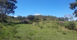 Chácara 2.7 Alq. – Povoado Bandeira – Rio – Nascente – 24km de Alto Paraíso de Goiás