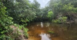 Chácara 4.000 m2 – Rio – Condomínio Rural – 12 km de Alto Paraíso sentido São Jorge