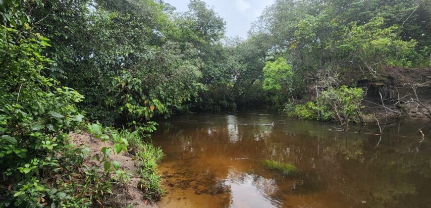 Chácara 4.000 m2 – Rio – Condomínio Rural – 12 km de Alto Paraíso sentido São Jorge