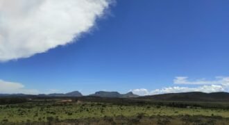 Área 4.7ha – Fazenda São Bento – Margem GO 239 – 7 km de Alto Paraíso sentido São Jorge