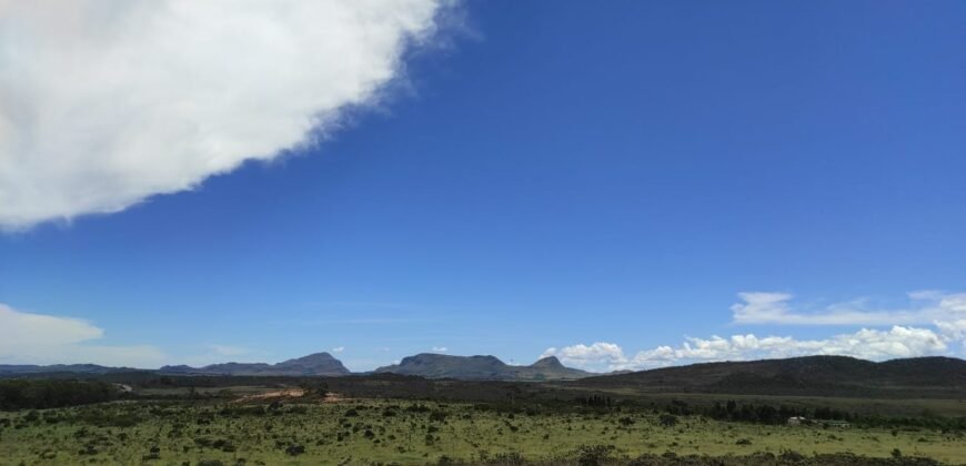 Área 4.7ha – Fazenda São Bento – Margem GO 239 – 7 km de Alto Paraíso sentido São Jorge