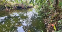 Chácara 6,3 ha – Rio – Piscina para Banho – Vale Verde – Alto Paraíso de Goiás