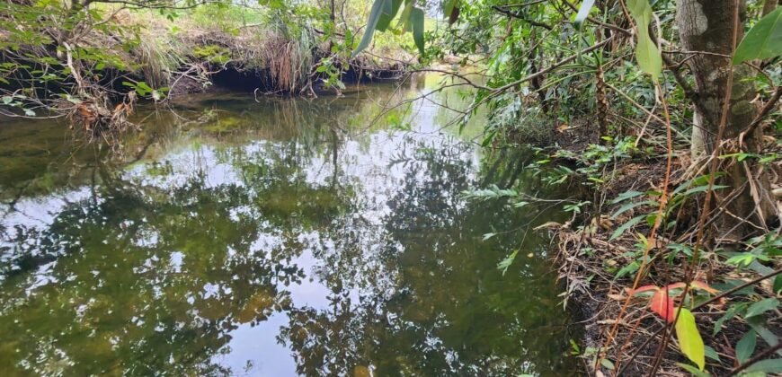 Chácara 6,3 ha – Rio – Piscina para Banho – Vale Verde – Alto Paraíso de Goiás