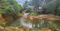 Casa – Rio – área 3,5ha – 9 km da Cachoeira Macaquinhos – Povoado Vereda – Alto Paraíso de Goiás