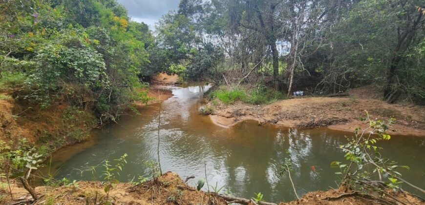 Casa – Rio – área 3,5ha – 9 km da Cachoeira Macaquinhos – Povoado Vereda – Alto Paraíso de Goiás
